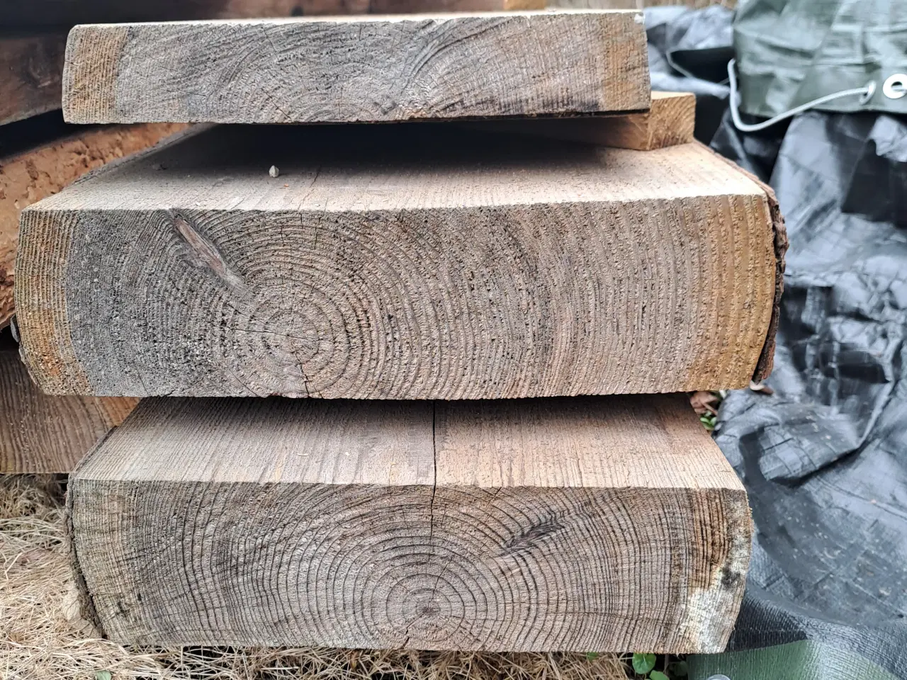 Billede 2 - Lærke træ kerne træ