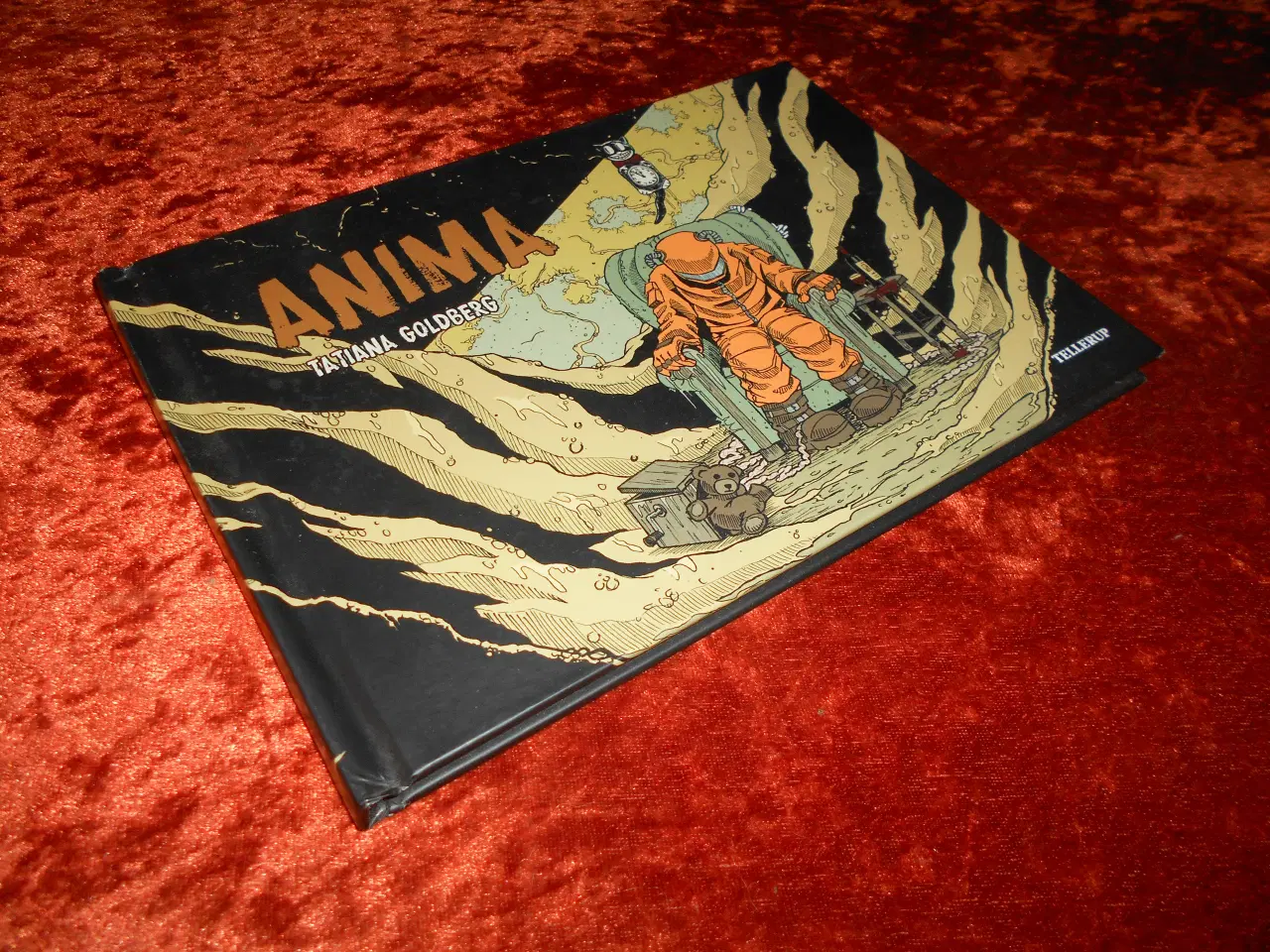 Billede 1 - Anima, Tatiana Goldberg