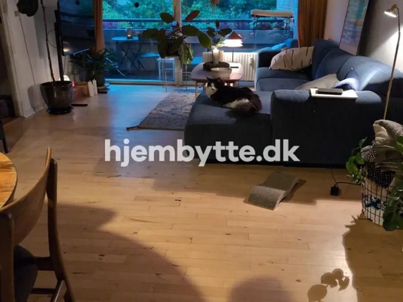 Billede 2 - Hjembytte - Landskronagade