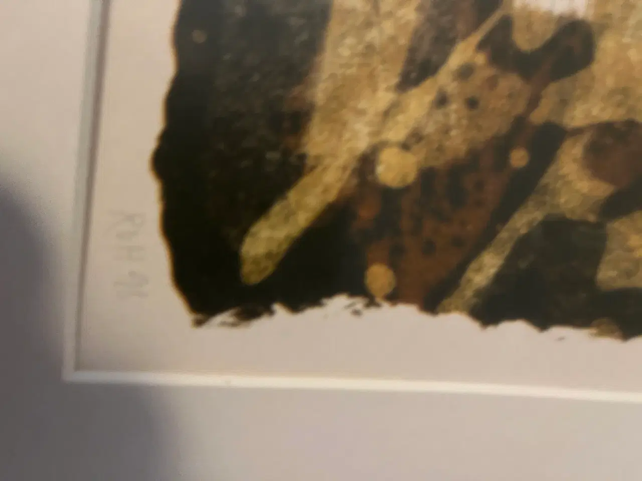 Billede 3 - Billeder i ramme