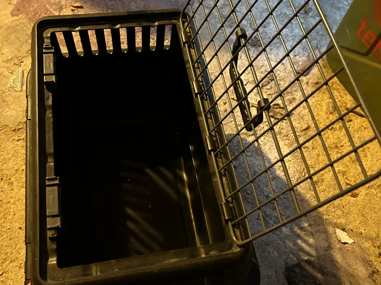 Billede 5 - Kattetransport