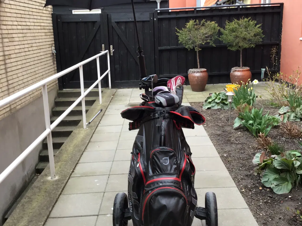 Billede 2 - Damegolfsæt med bag og golfvogn