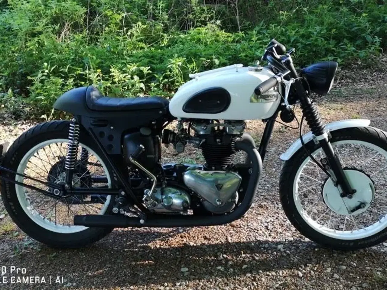Billede 6 - Triumph