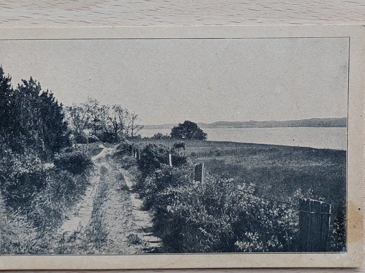 Billede 9 - Lot gamle kort fra Sønderjylland