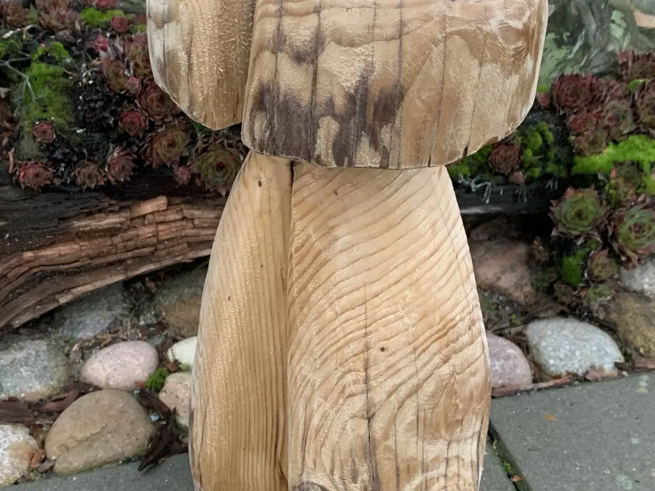 Billede 1 - PADDEHAT/ TRÆSVAMP - Ny pris