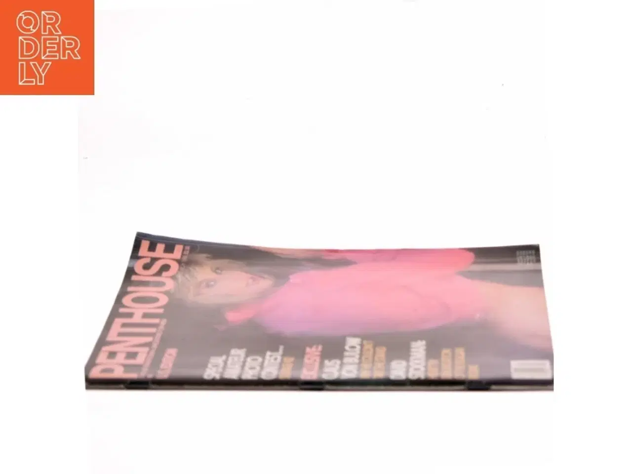 Billede 2 - Penthouse