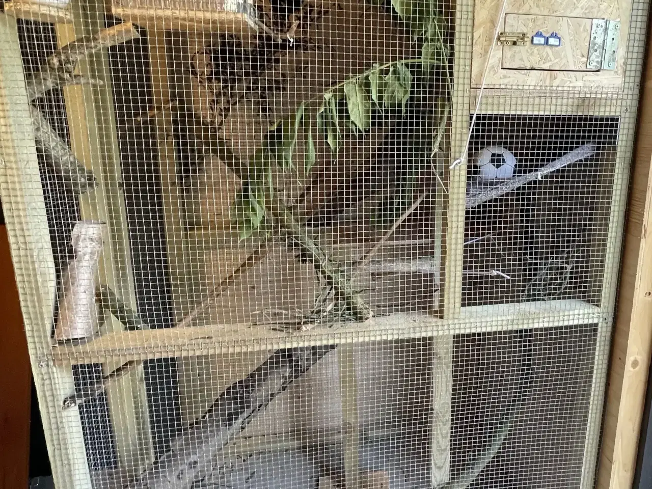 Billede 1 - Håndlavede bure & volierer i træ