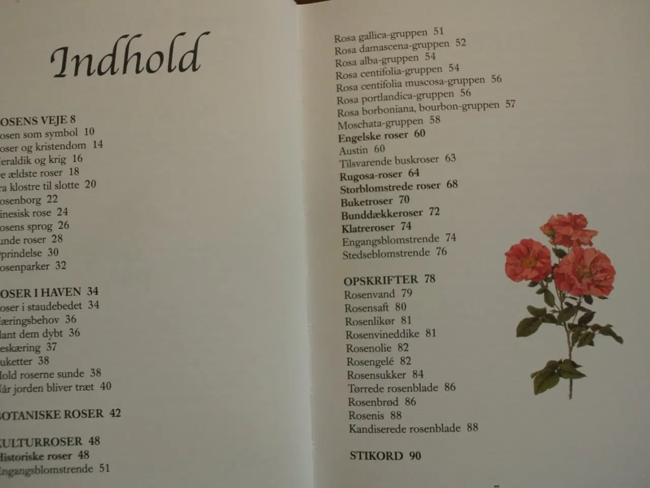 Billede 2 - roser - hårdføre skønheder, af jane schul, emne: b