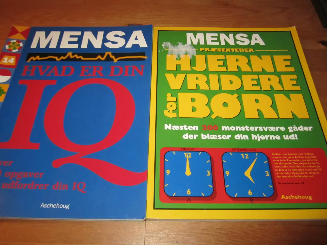 Billede 1 - MENSA. Hvad er din IQ. 2 Bøger.