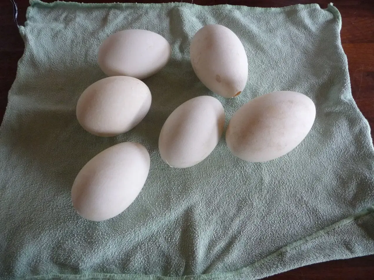Billede 1 - 6 gåse æg