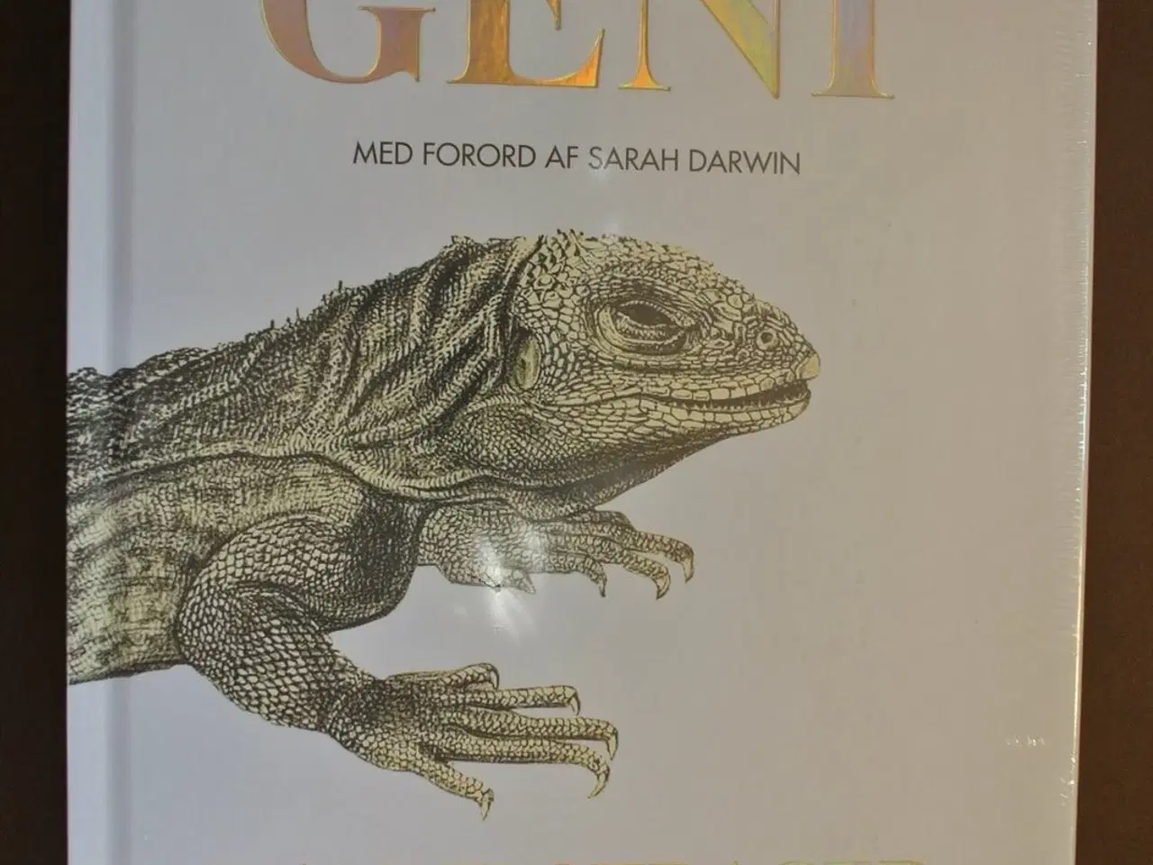 Billede 1 - et beskedent geni - ny i plast, af hanne strager, 