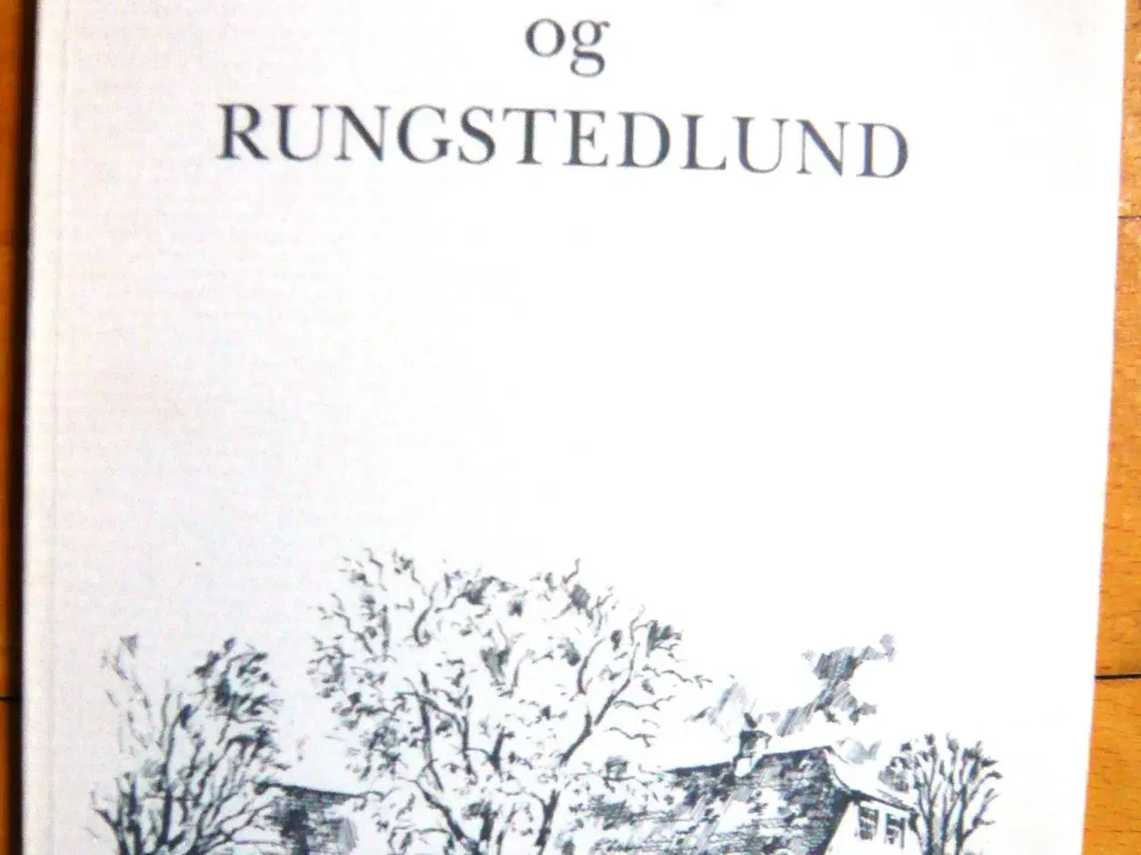 Billede 1 - Karen Blixen og Rungstedlund (B3)