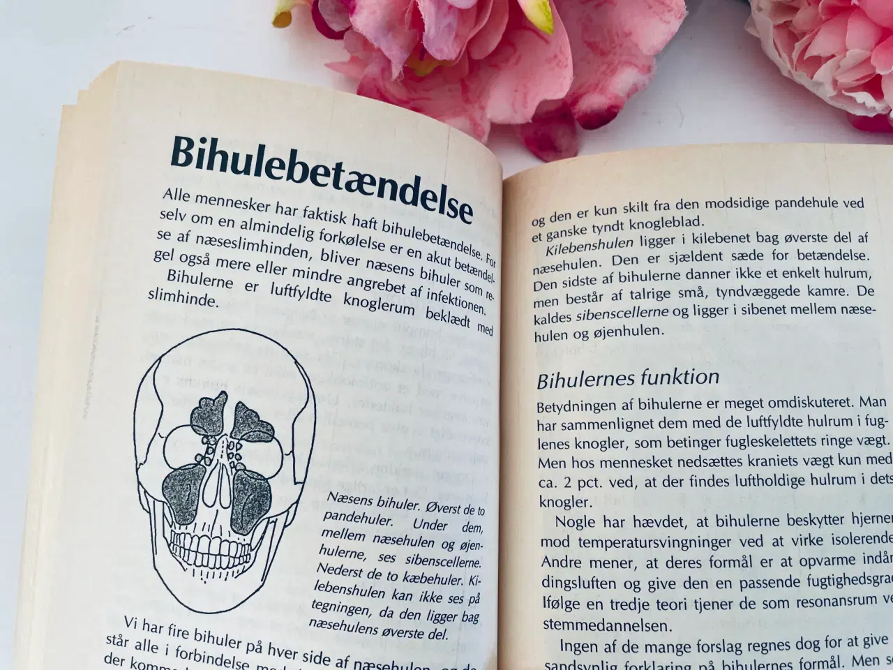 Billede 3 - Lægeleksikon Peter Asschenfeldt