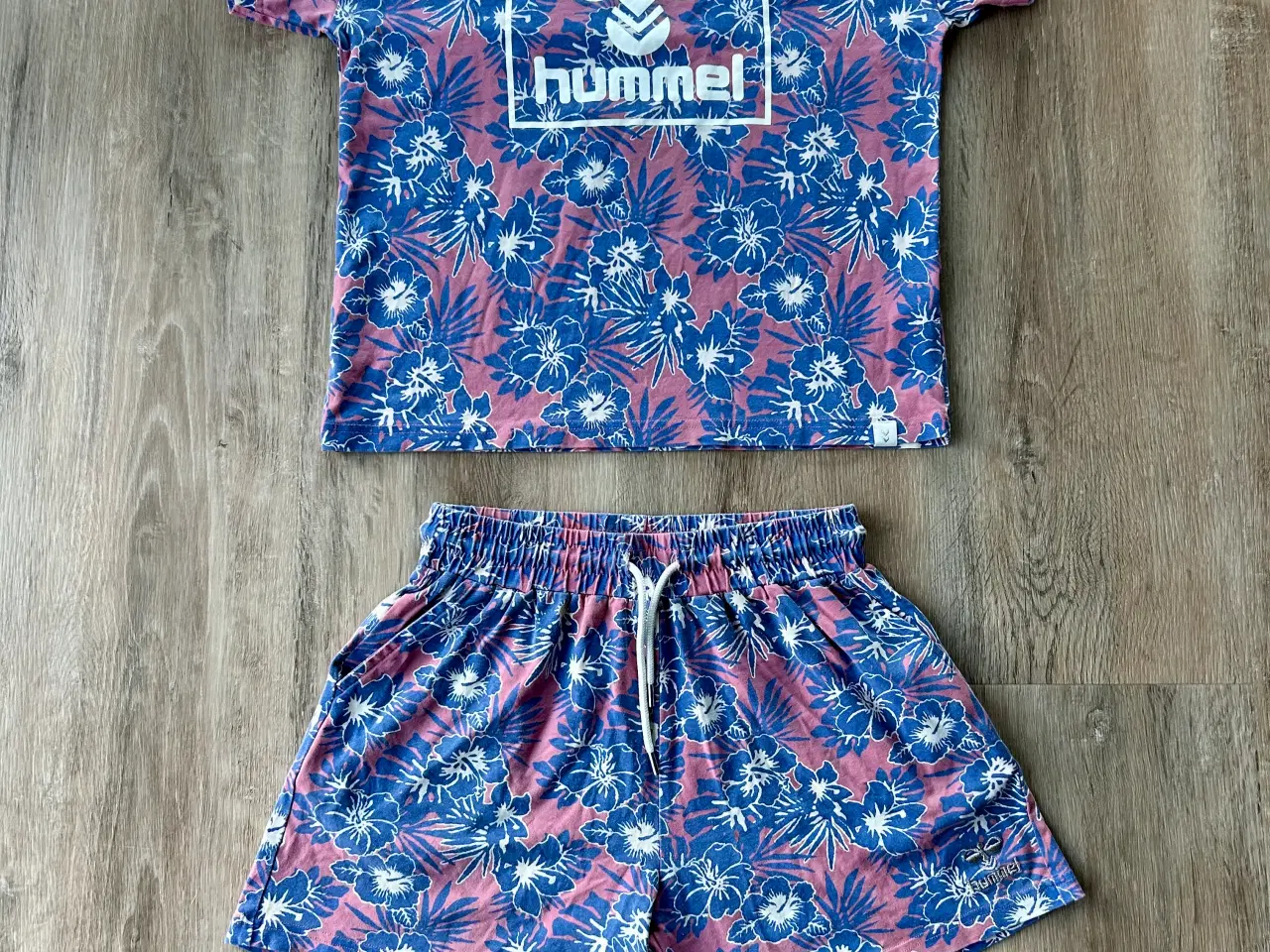 Billede 1 - hummel