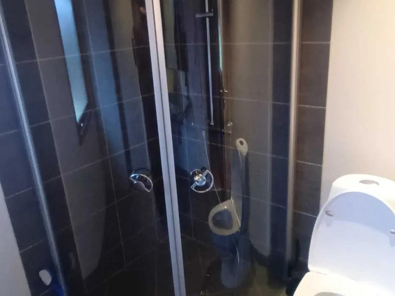 Billede 1 - Bruseniche 