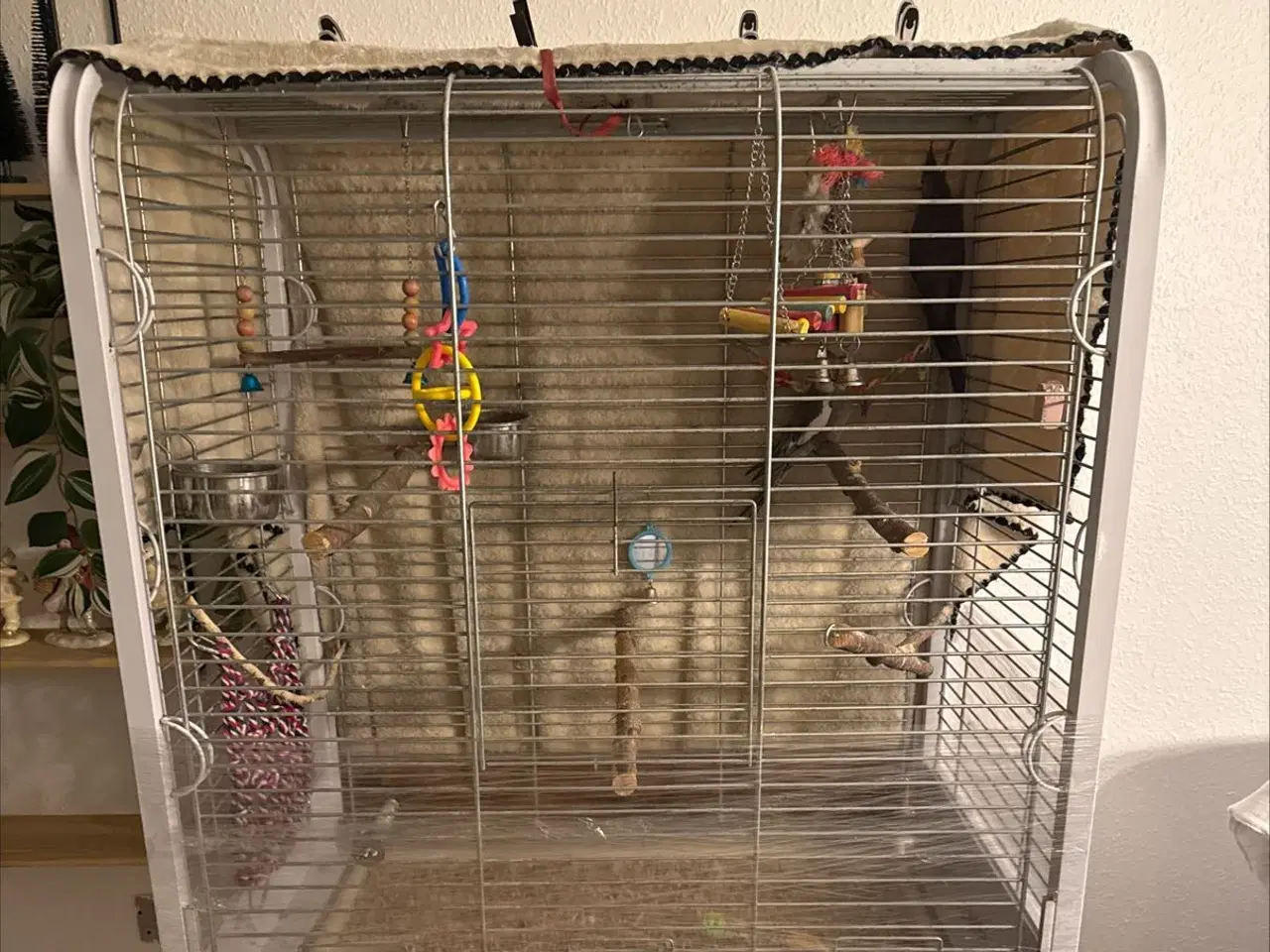 Billede 7 - Nymfeparskitter