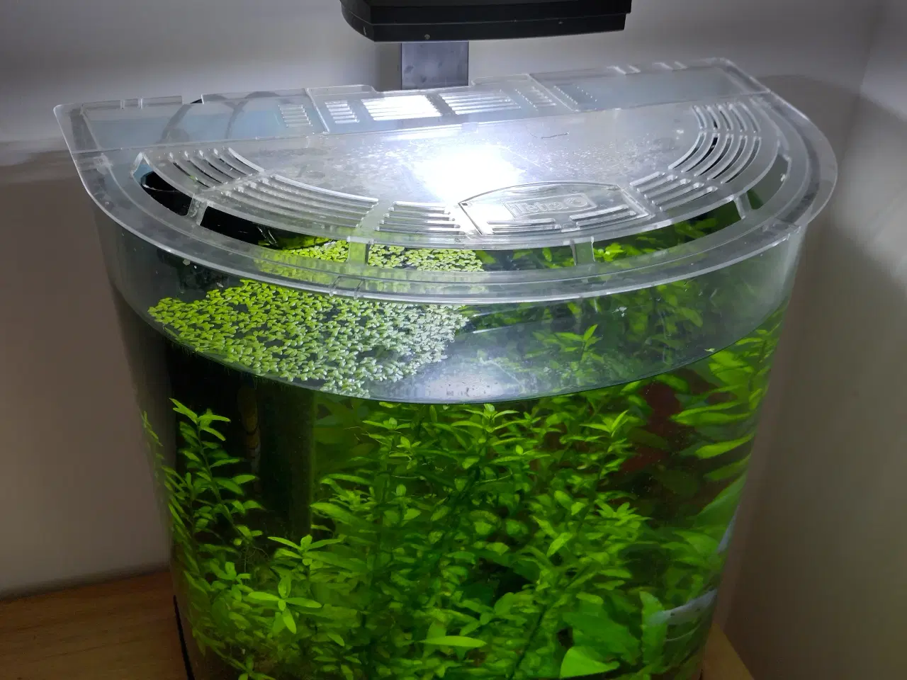 Billede 3 - Akvarie