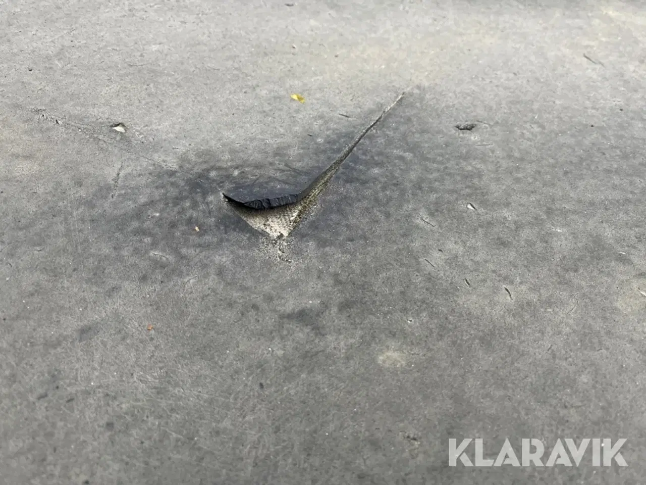 Billede 7 - Transportør / bånd