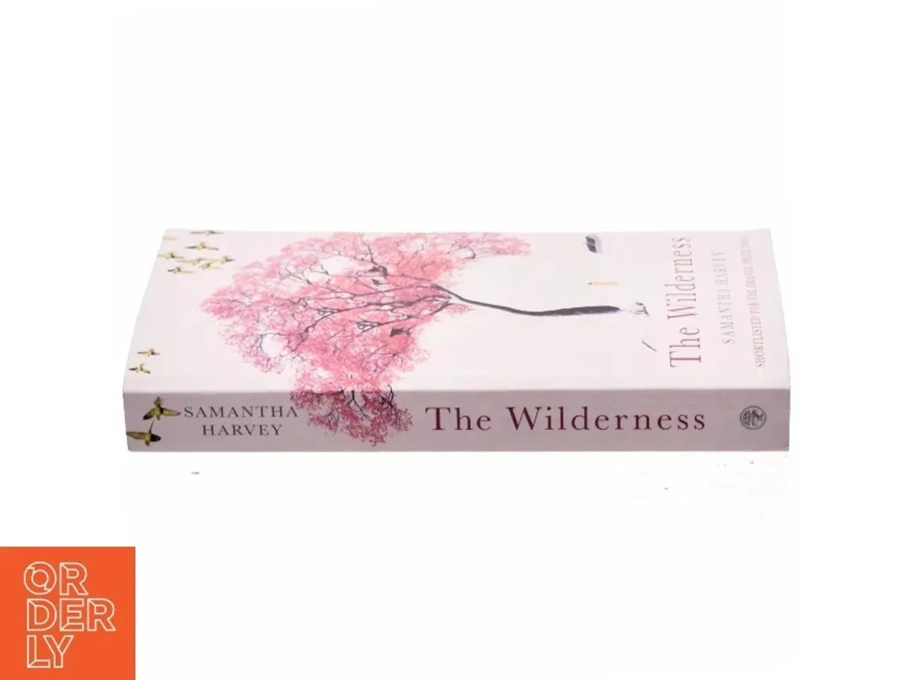Billede 2 - The wilderness af Samantha Harvey (Bog)