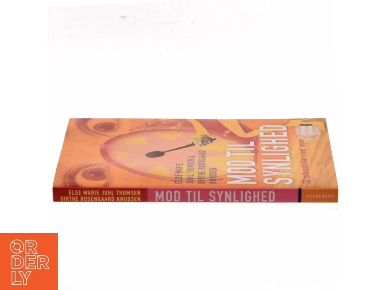 Billede 2 - Mod til synlighed : 12 rollemodeller viser vejen (Bog)
