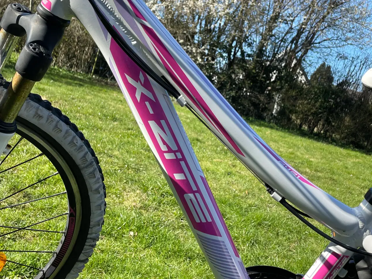 Billede 3 - X-zite pige mtb.