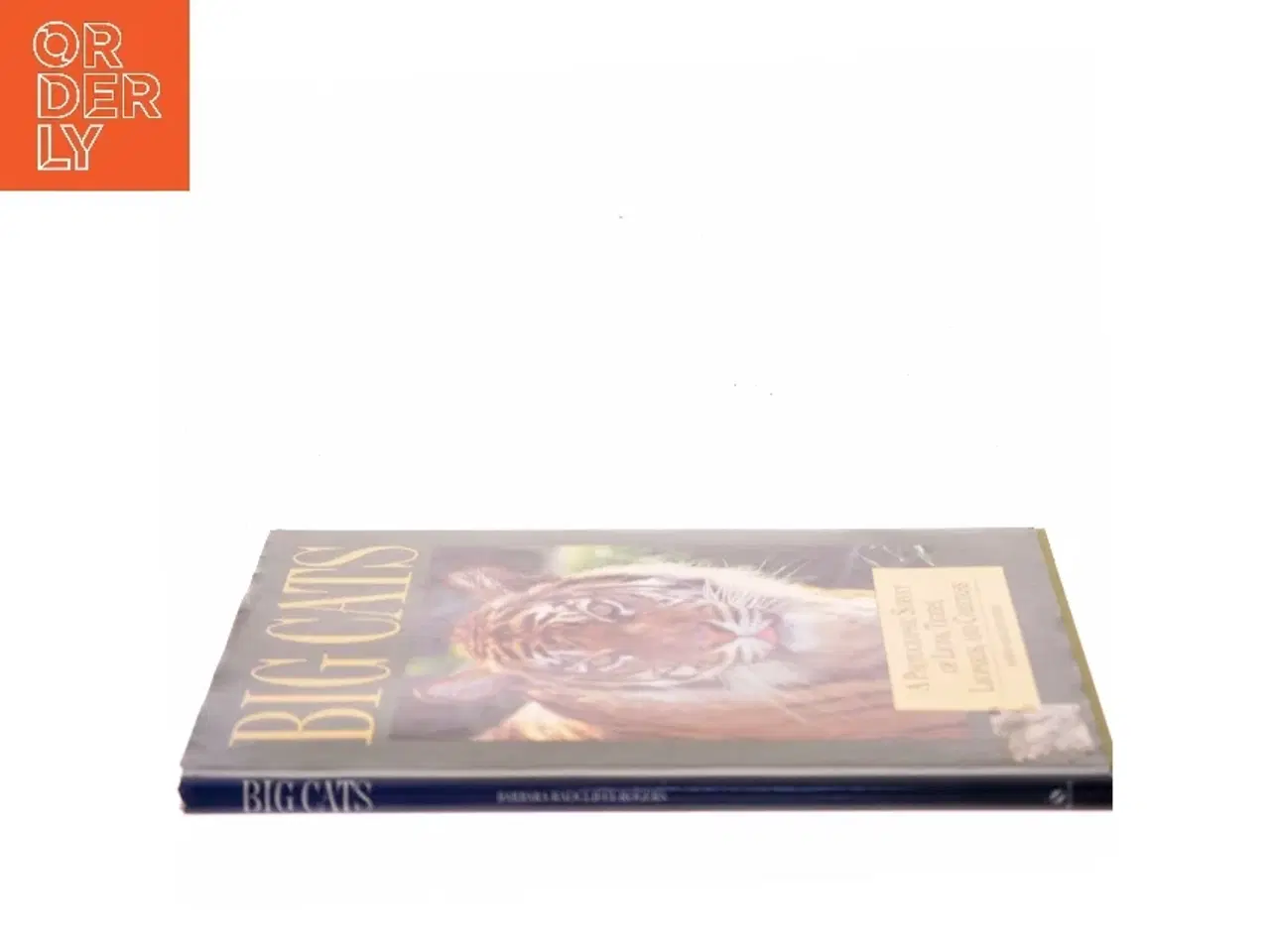 Billede 2 - Big Cats af Barbara Radcliffe Rogers (Bog)