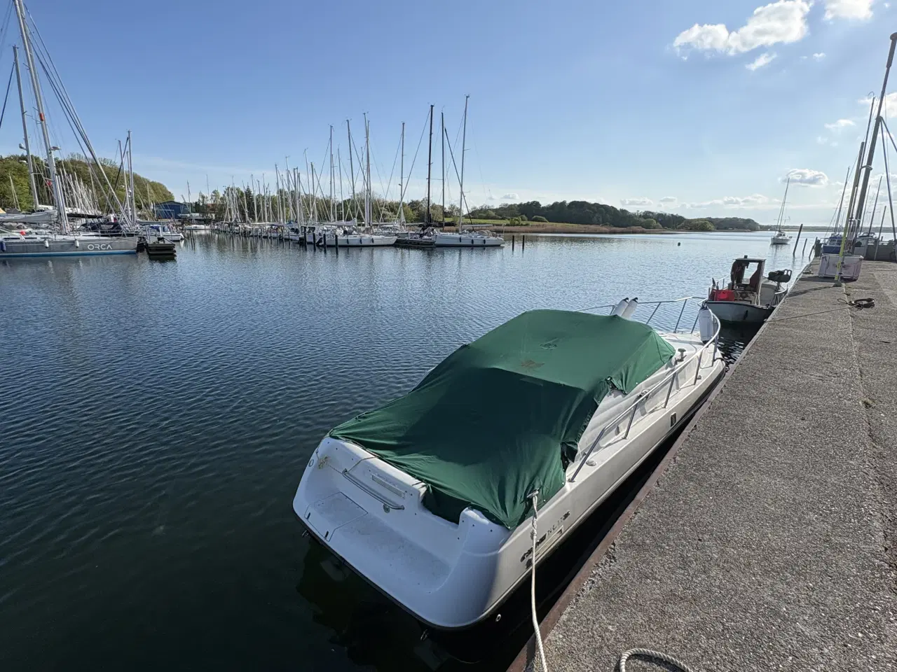 Billede 5 - Crownline 250CR 25 fod motorbåd