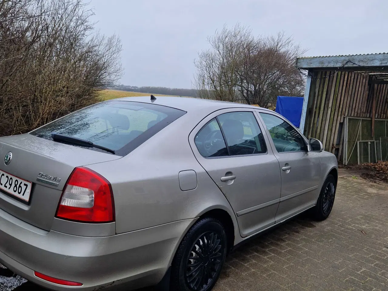 Billede 3 - Skoda Octavia 1,6TDI