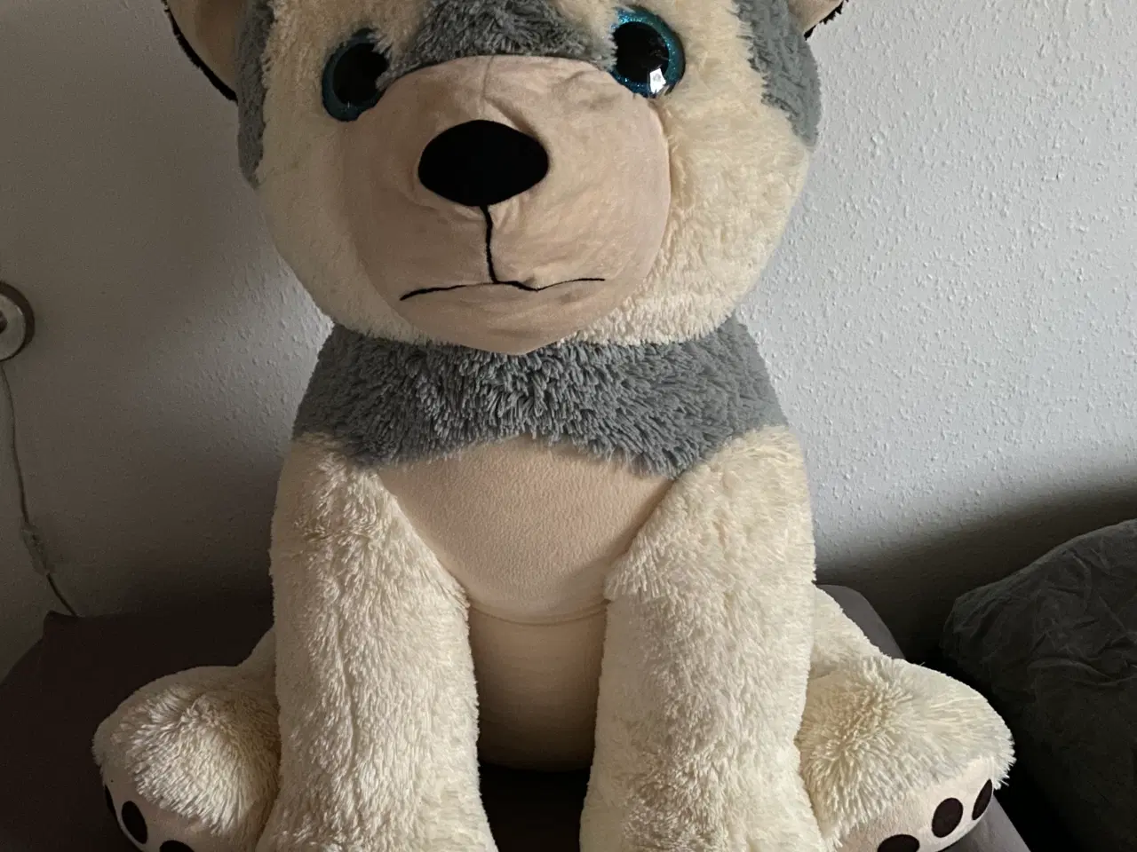 Billede 2 - Bamsehund