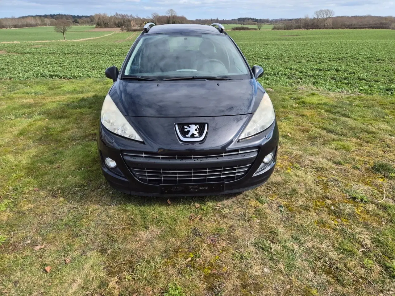Billede 1 - Peugeot 207 1,6 HDi 90 Comfort+