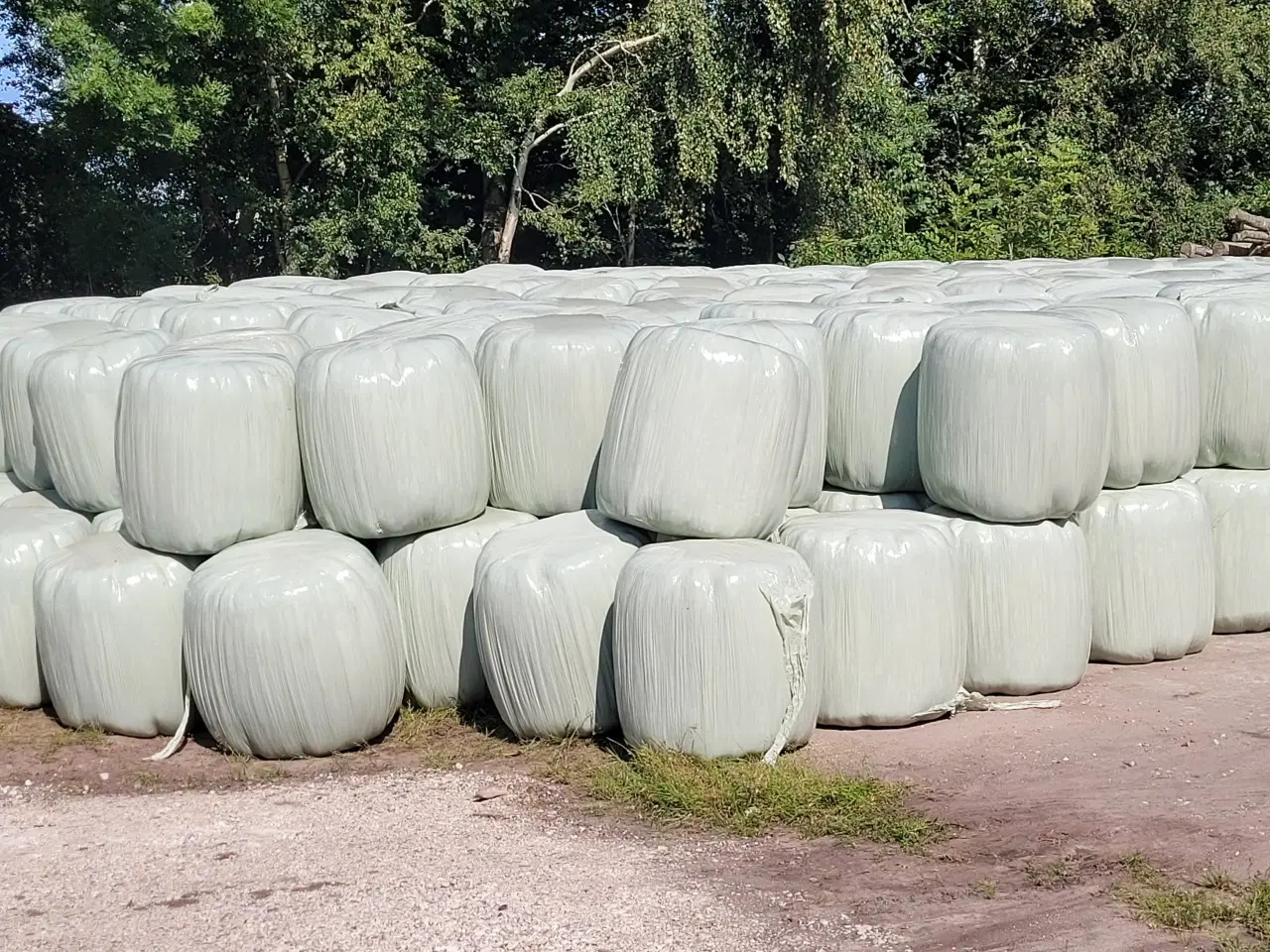 Billede 1 - Wrapballer til heste