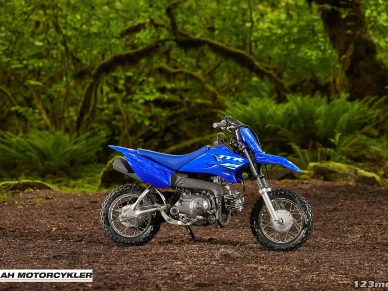 Billede 11 - Yamaha TTR 50