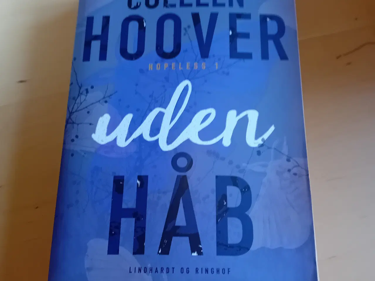 Billede 4 - Kendte Ungsomsbøger ikke brugt