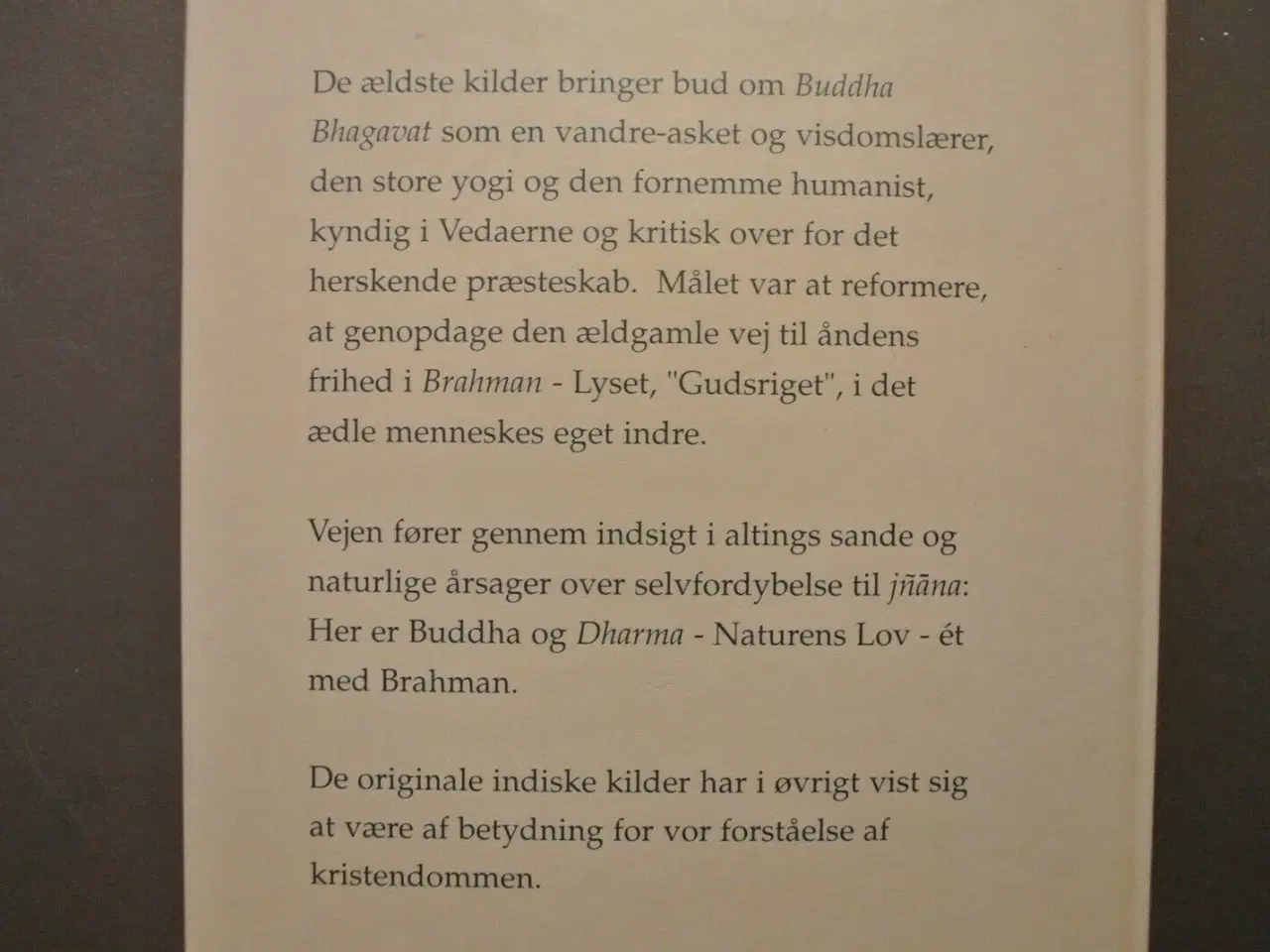 Billede 4 - hinayana - den tidlige indiske buddhisme, af chris