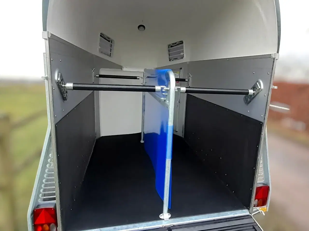 Billede 8 - Böckmann Champion Esprit (Udstilling)