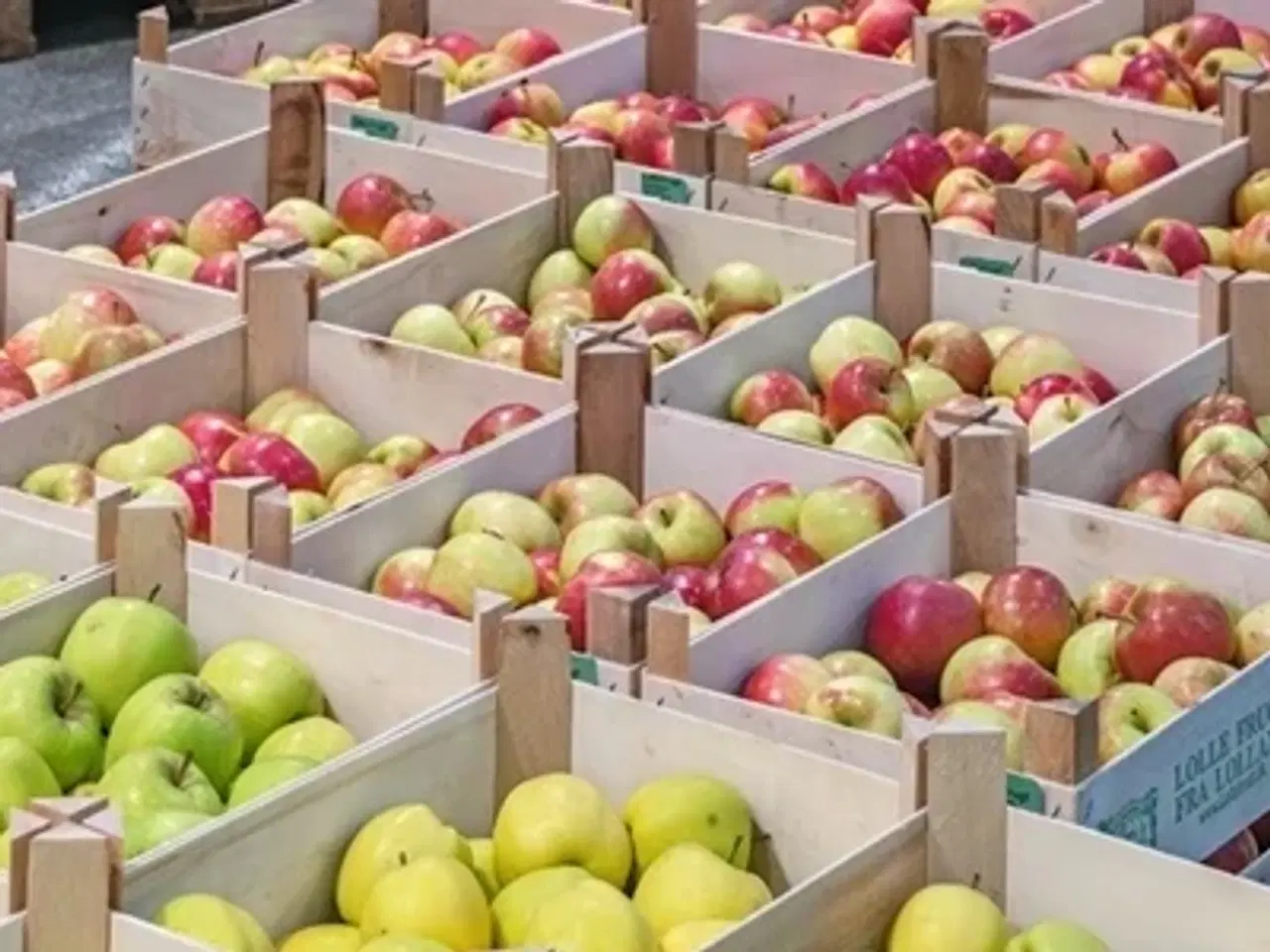 Billede 1 - Nordeuropas største markedsplads og distributionscenter for frugt/grønt, blomster/tilbehør og andre relaterede fødevarer