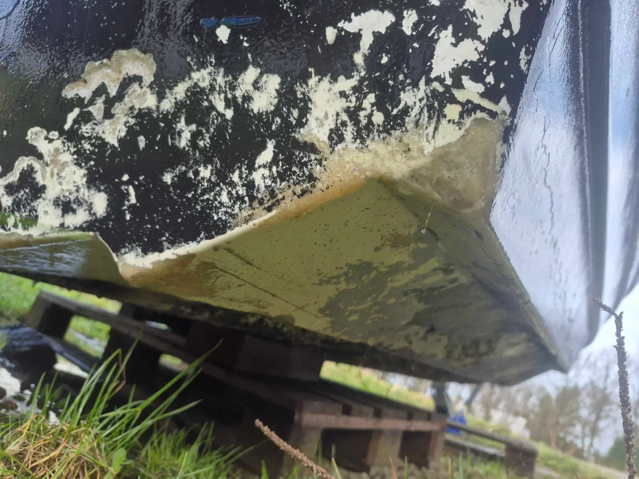 Billede 7 - 17 fods ørnvik speedbåd 