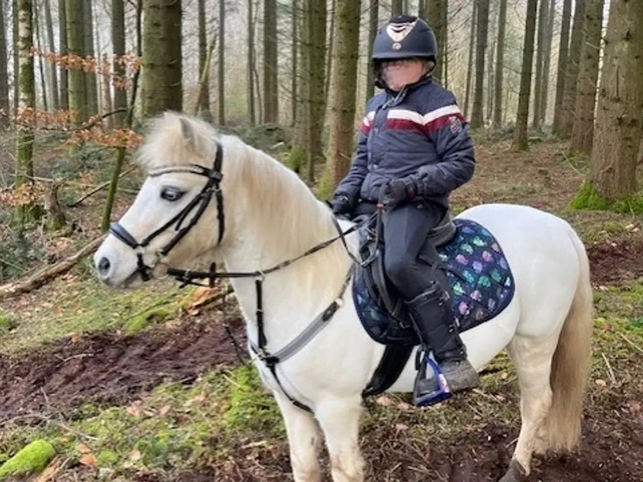 Billede 4 - Charmerende børnepony med stor personlighed
