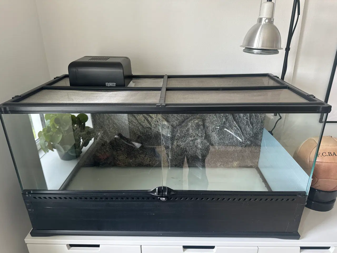 Billede 1 - Terrarium til diverse krypdyr