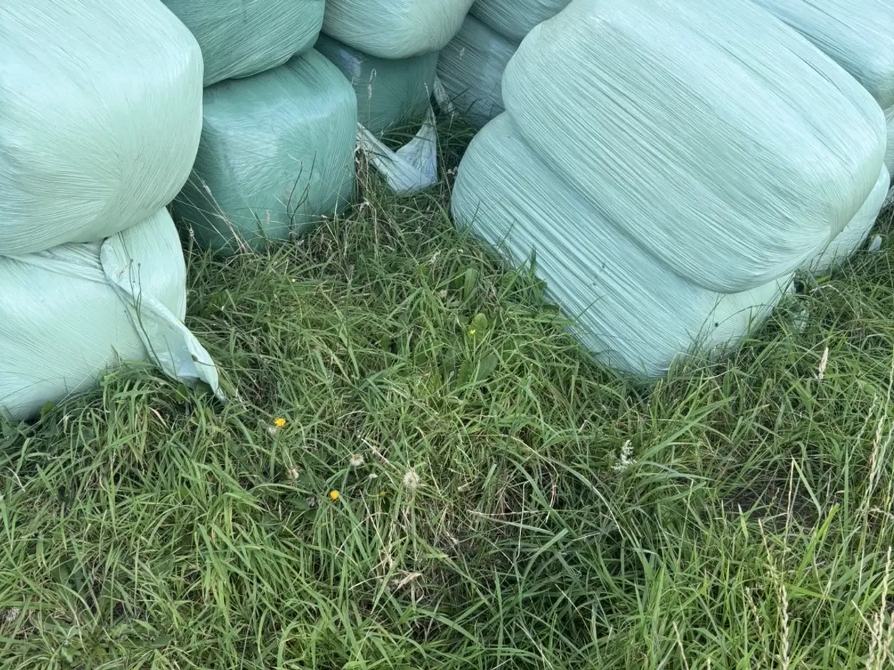 Billede 1 - Kvalitet wrap