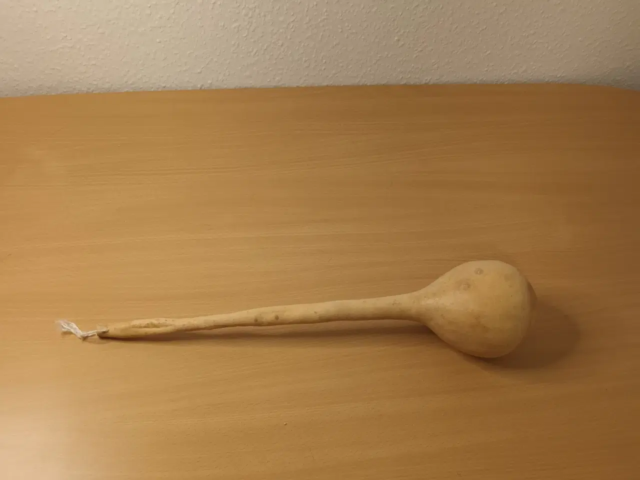 Billede 1 - Tørret Kalabas