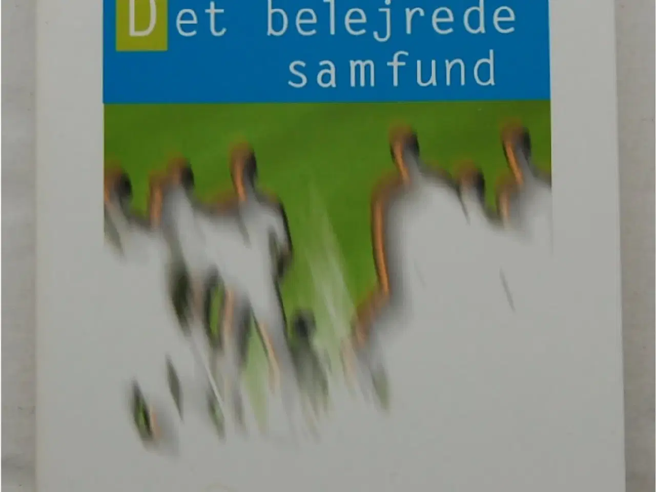 Billede 1 - Det belejrede samfund   Zygmunt Bauman