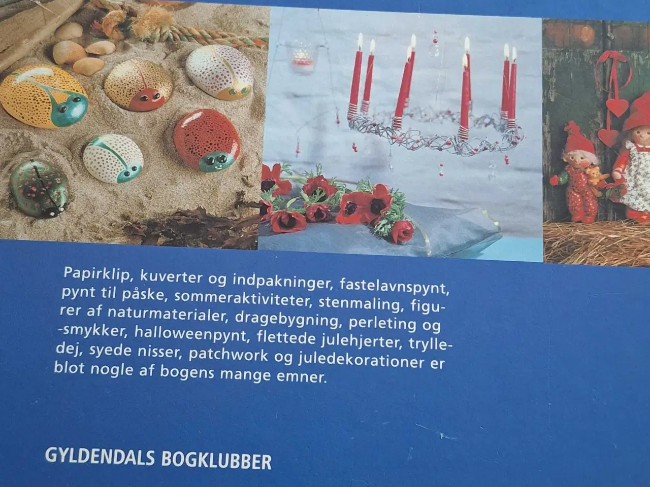 Billede 5 - Familiens store hobbybog 