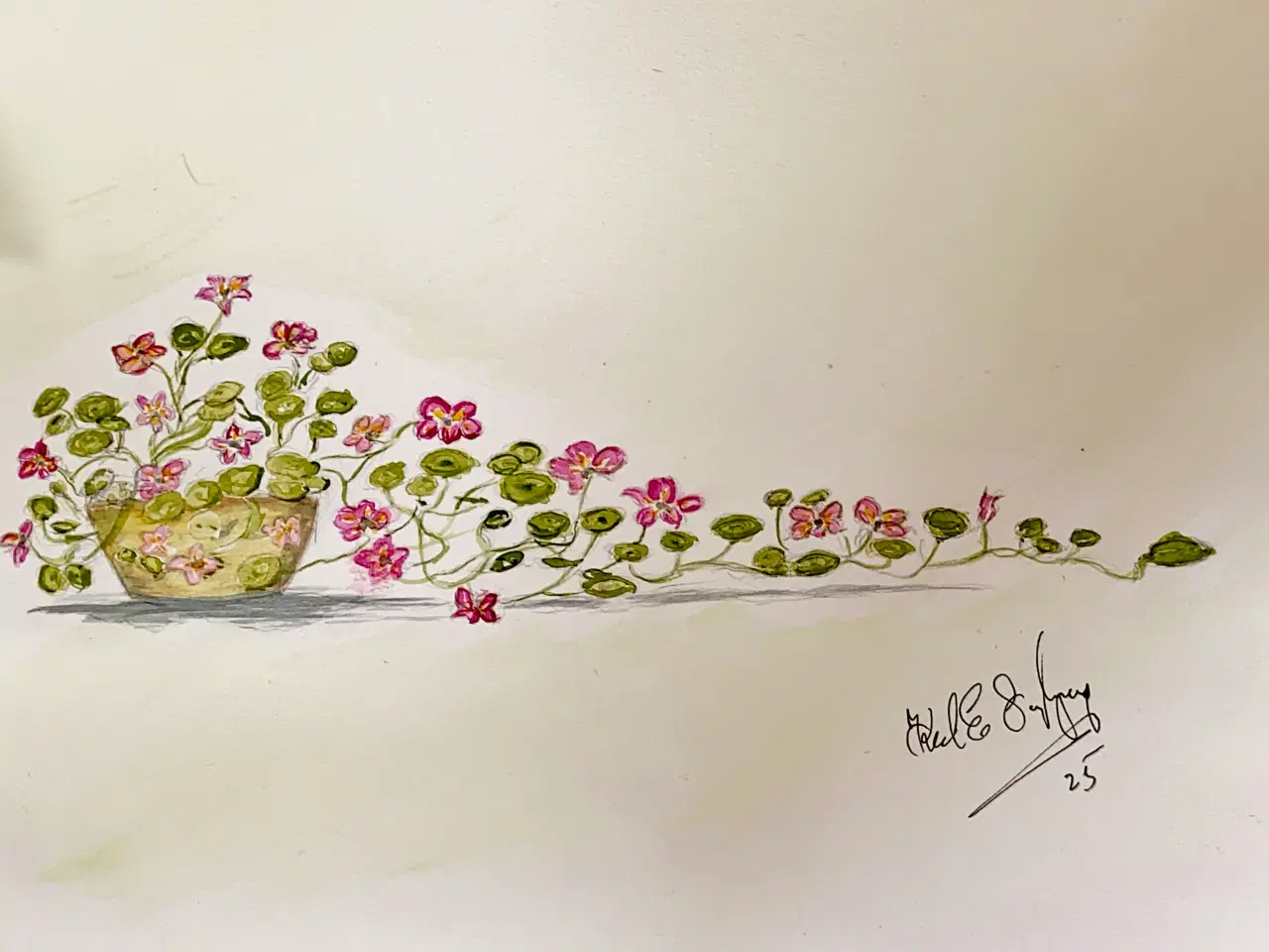 Billede 13 - Akvareller 