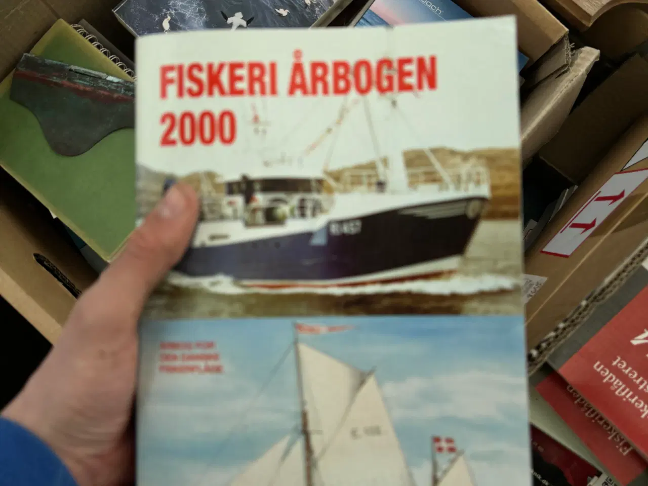 Billede 16 - Fiskeriordbøger 