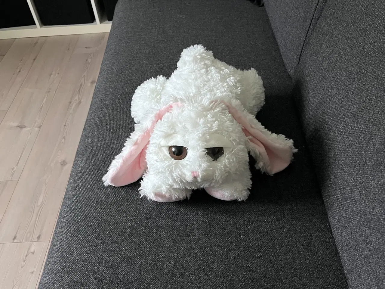 Billede 14 - Bamse Kanin, Blød Bamse, Slaskebamse