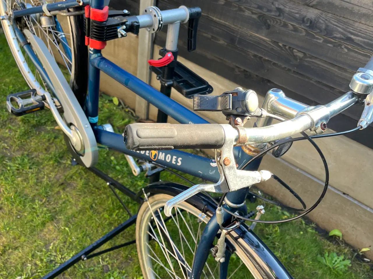 Billede 2 - Kildemoes i blå cykel 
