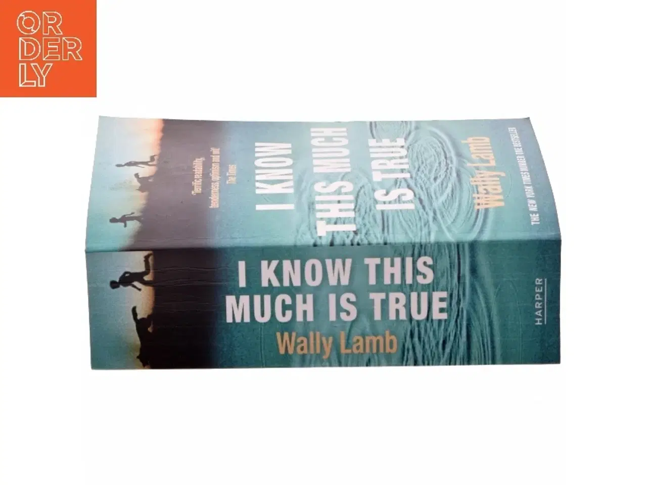 Billede 3 - I know this much is true af Wally Lamb (Bog)