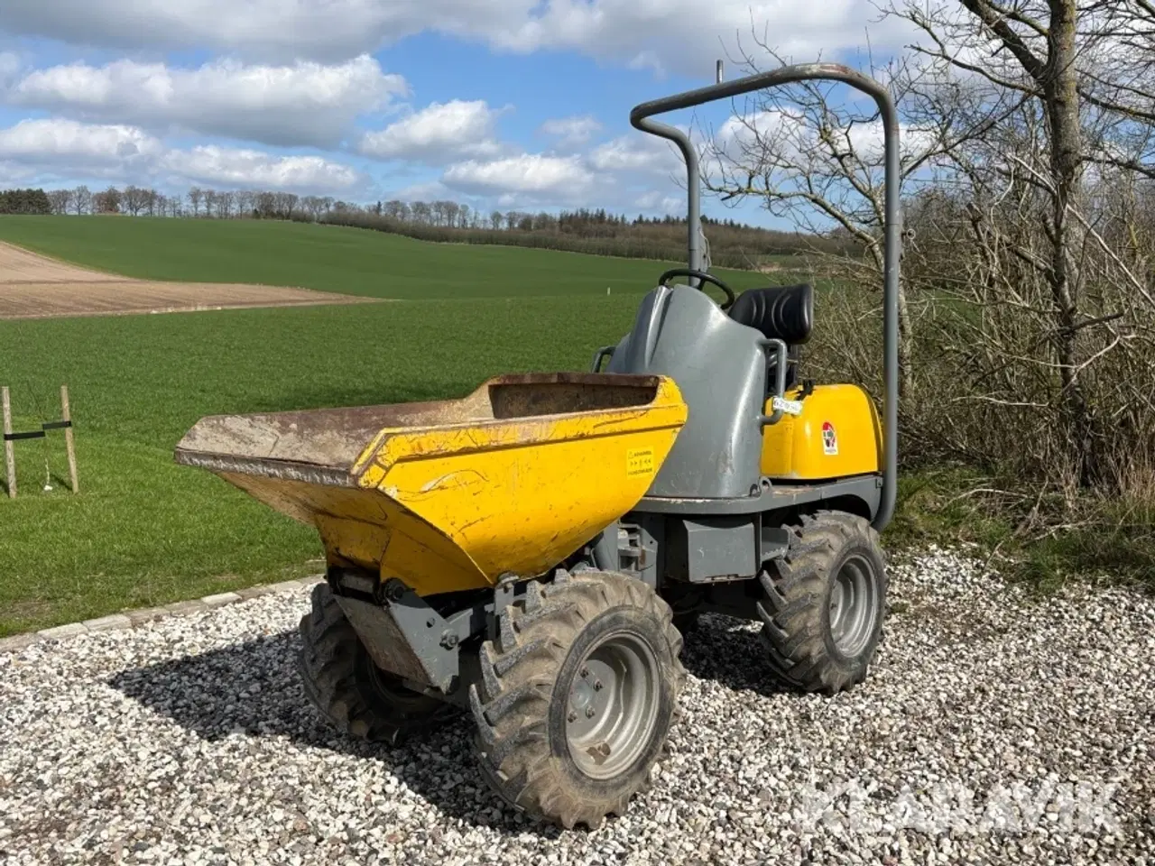 Billede 1 - Minidumper Lifton 850 med højtip