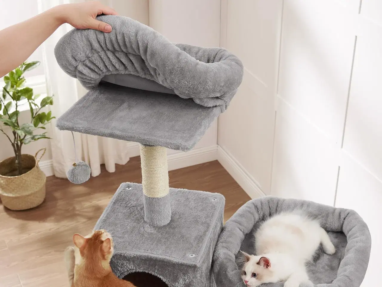 Billede 7 - Klatretræ til kat – FEANDREA slankt kattetræ 199 cm med hængekøje og huler